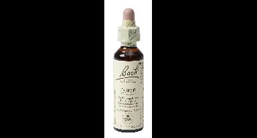 Bach Flower Remedies Gaspeldoorn 13