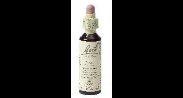 Bach Flower Remedies Den 24