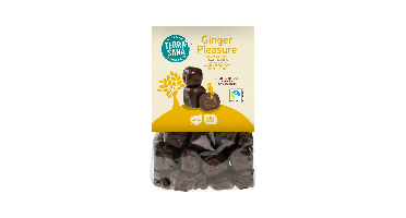Terrasana Ginger Pleasure Choco Bio