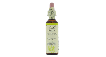 Bach Flower Remedies Kamperfoelie 16