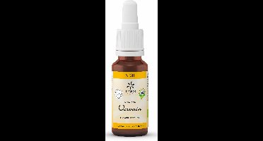 Lemon Pharma Bach NO. 31 Vervain