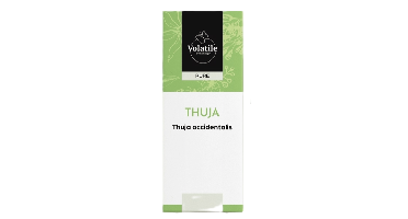 Volatile Thuja (Thuja Occidentalis)
