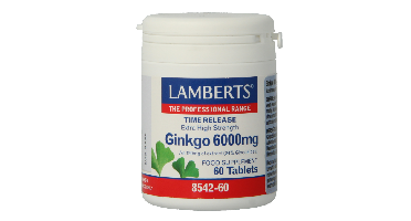 Lamberts Ginkgo 6000mg Time Release Tabletten