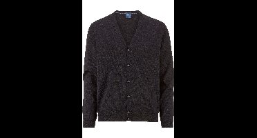 OLYMP Casual Regular Fit Cardigan grafiet, Effen