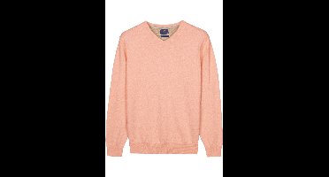 Baileys Regular Fit Trui V-halsroze, Effen