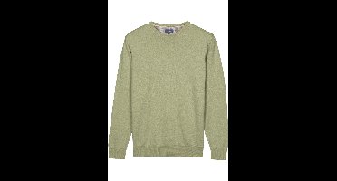 Baileys Regular Fit Trui ronde halsgroen, Effen