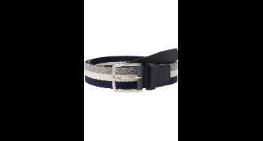 Lloyd Riem blauw-grijs, Gestreept