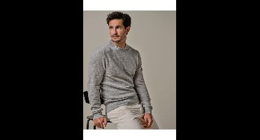 Profuomo Trui ronde halsgrijs, Effen