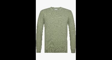 Profuomo Trui ronde halsgroen, Effen