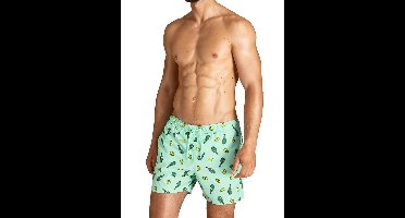Björn Borg - Swim Shorts - Sylvester - 72921