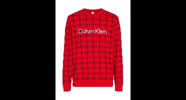 Calvin Klein - Sweatshirt - Logo Graphic - VGM