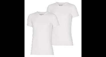 Apollo T-shirt Heren Bamboo Basic V-neck Wit 2-pack-L