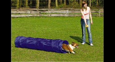 Beeztees Agility Tunnel Small 198 cm