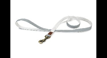 DBL looplijn Virante Mint 120 cm x 20 mm