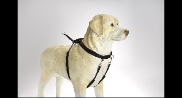 Beeztees Gentle Walker Zwart XL