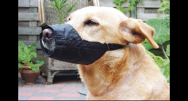 Beeztees veiligheidsmuilband L Speciaal 22 cm