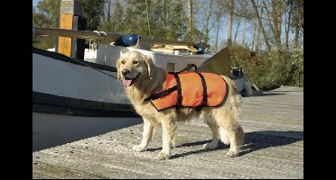 Beeztees reddingsvest XS 3-7 kg