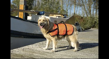 Beeztees reddingsvest L 23-41 kg