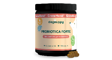 DogSuppy Probiotica Grote Hond Insect 360 gram
