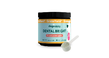 DogSuppy Dental Bright Grote Hond 250 gram