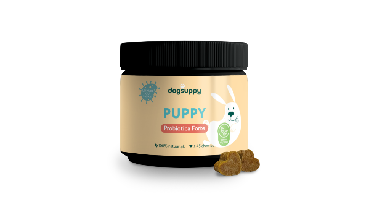 DogSuppy Puppy Probiotica Chews 90 gram