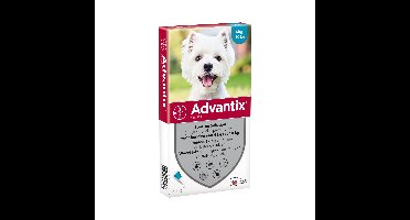 Advantix 100 4-10 kg 6 pipetten