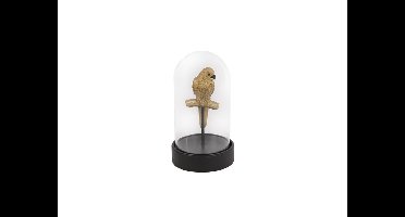 Papegaai in stolp Ø11,5x20cm messing