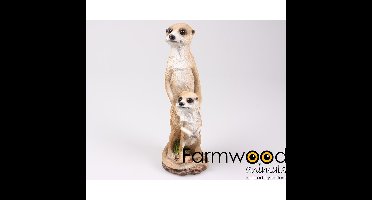 Stokstaartje 10x9x21 cm