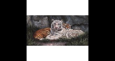 Schilderij 2 Tijgers 40x80cm