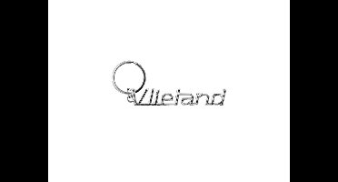 Paperdreams Cool Car keyring - Vlieland