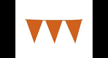 Reuzevlaggenlijn Oranje 10m kunststof