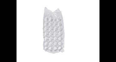 Ijsblokzakken pak a 10 stuks 38x17cm