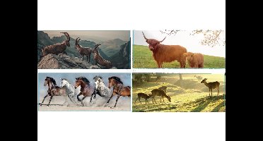 Tuinposter 110x45cm PVC