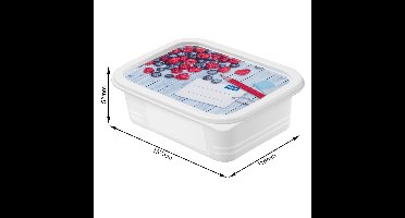 Rotho Diepvriesdozenset 4-delig 0,5L