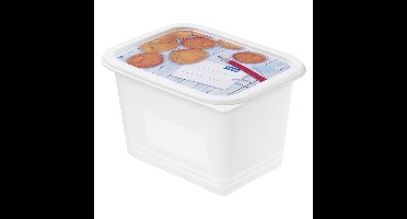 Rotho Diepvriesdozenset 4-delig 1L