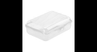 Rotho Lunchbox Fun 1,25L transparant