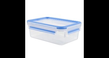 Tefal MasterSeal Vershouddoos 0,55L