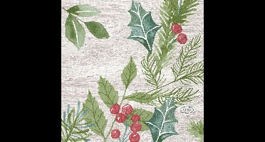 Duni Servetten Winter Greenery 24x24cm