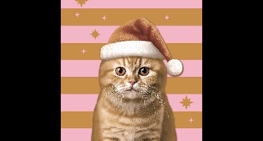 Duni Servetten Xmas Cat 33x33cm
