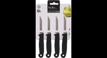 Schilmesjes RVS set a 4 stuks