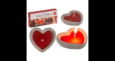 Hartkaars set van 2 in cementen pot