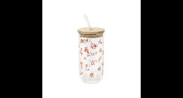 Drinkglas met rietje en deksel 500ml