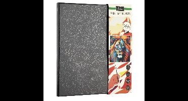 Nassau Schilderen op nummer Leeuw 30cm