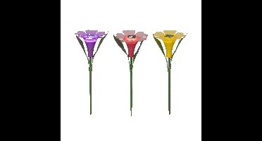Solar Steeklamp bloem plastic Ø10xH30cm