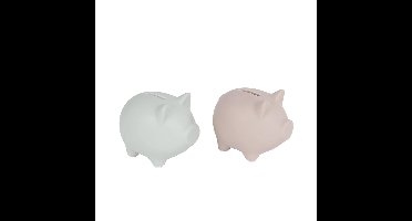 Spaarpot varken pastel 8,5x12x9cm