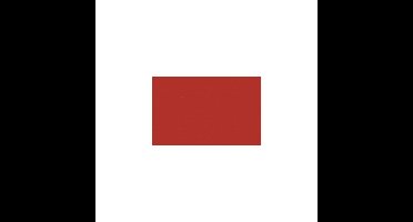 Fotokarton 25vel 70x50cm rood