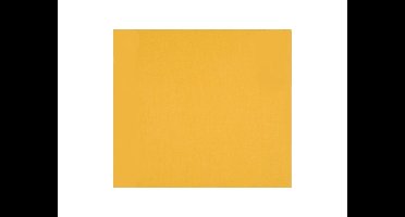 Fotokarton 25vel 70x50cm bananengeel