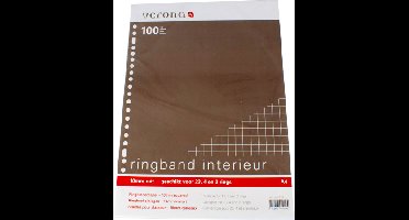 Ringbandnterieur A4 23R geruit 10mm 100