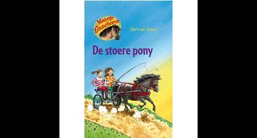 Kluitman Manege de zonnehoeve de stoere