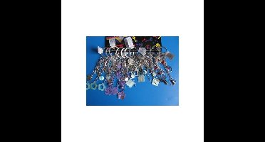 Sleutelhanger Geluk-Deco-hanger 12stuks